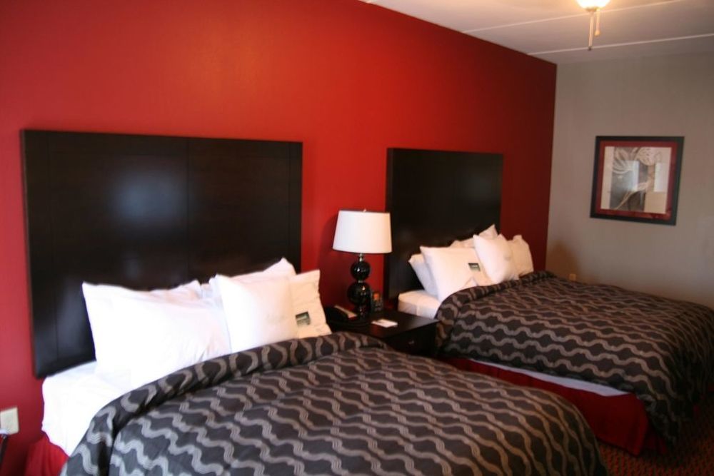 Homewood Suites By Hilton Leesburg Chambre photo
